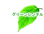 �O���[�������^��